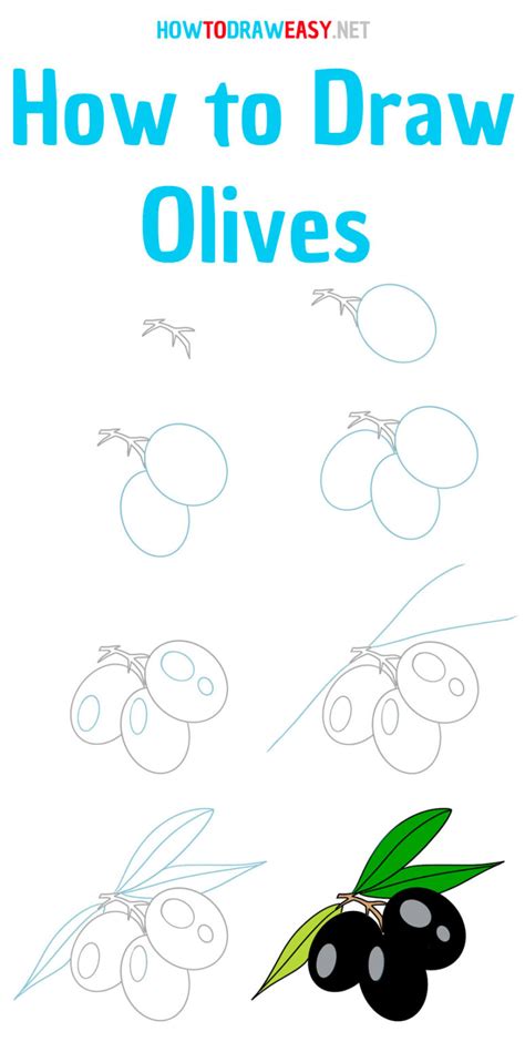 How To Draw An Olive How To Draw Easy
