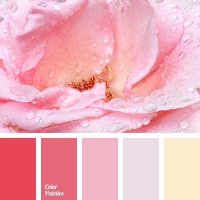This article is a list of the color palettes for notable computer graphics, terminals and video game console hardware. Color Palette #2531 | Red colour palette, Purple color ...