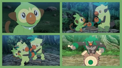 Thwackey And Rillabloom Appear Could Gohs Grookey Evolve Pokemon
