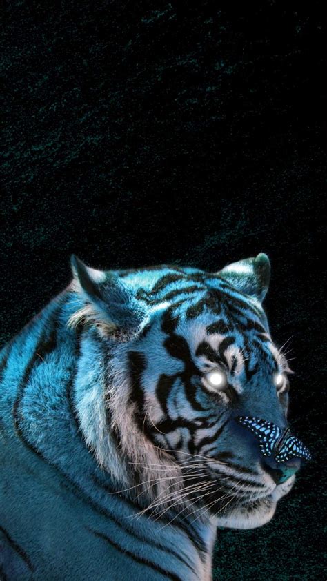 Tiger Aesthetic Wallpapers Wallpaper Cave