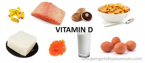 Ibu dapat memberikan vitacur setiap hari kepada anak. Makanan yang mengandung sumber Vitamin D Tertinggi