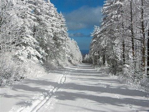 White Winter Snow North Carolina Mountains Snow In North Carolina