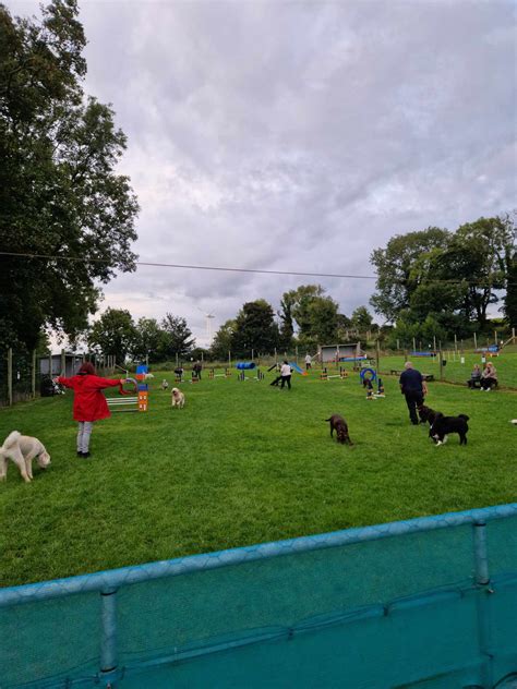 Playgroups – Beech Grove Doggy Fun Park