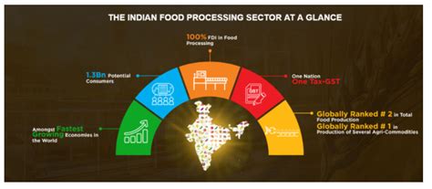 Scope And Significance Of Food Processing In India Insightsias