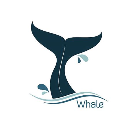 Royalty Free Whale Clip Art Vector Images And Illustrations Istock