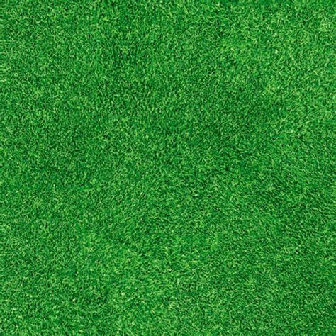 Expo Print Grass 15m Coverflooring