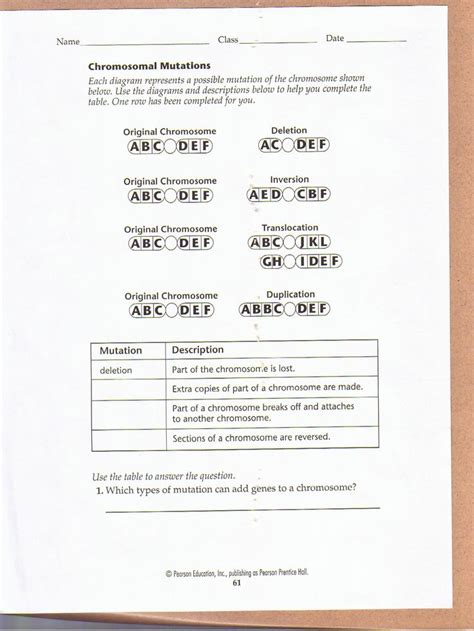 What is the relationship between dna, codons, and proteins? 31 Genetic Mutation Worksheet Answer Key - Worksheet ...