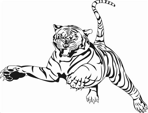 Tiger Coloring Pages Coloringbay