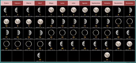 Cuánto Dura Cada Fase Lunar 【 Calendario 2022