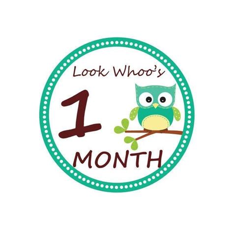 Birthday One Month Baby Month By Month Diy Tags Monthly Baby Photos