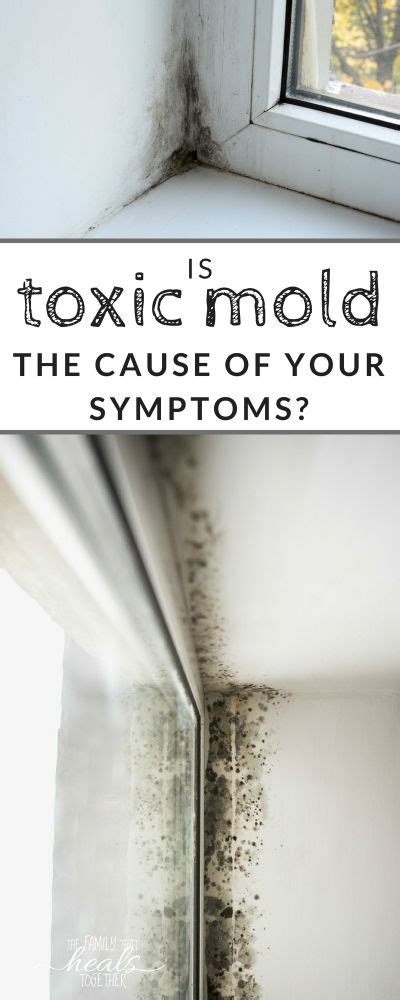 Are These Toxic Mold Symptoms Keeping You Up At Night Toxic Mold Toxic Mold Symptoms Mold