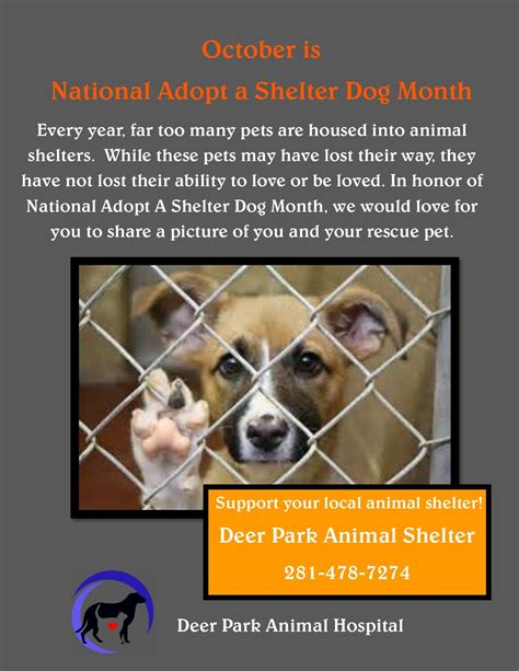 Adopt A Shelter Dog Month October Shelter Dogs Dog Adoption Animal