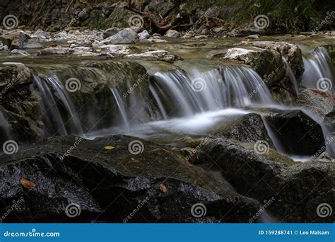 Mountain River Flowing Through The Green Forest Stock Image Image Of