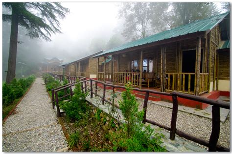 Shivpuri is about 75 km from kanatal and close to rishikesh is shivpuri, a rafting location. Dhanaulti -- an infamous long weekend trip | India Travel ...