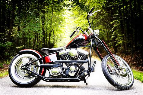 They are lightweight, reliable, and. Bobber Harley Davidson Custom Motorcycle Photograph by Kim ...