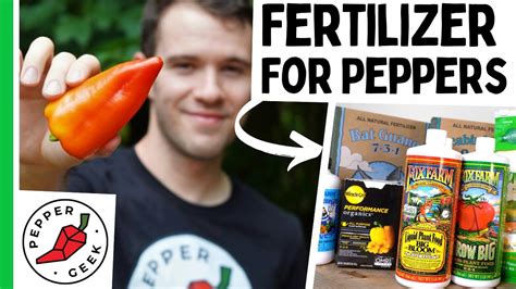 Fertilizing Peppers All About Plant Nutrients Pepper Geek Youtube