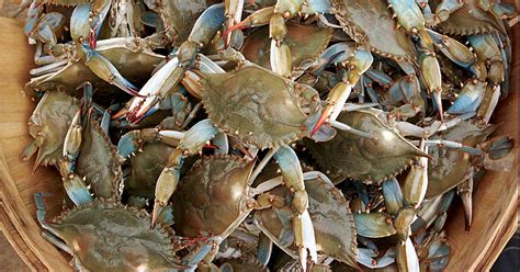 Whether you want to order breakfast, lunch, dinner, or a snack. Baltimore crabs: America's best regional food?