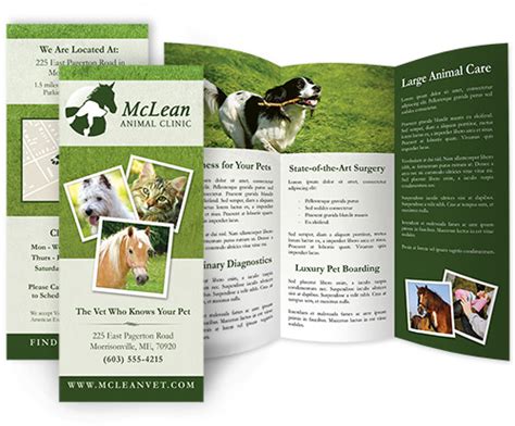 Veterinary Hospital Brochures Veterinarian Brochures And Print Marketing