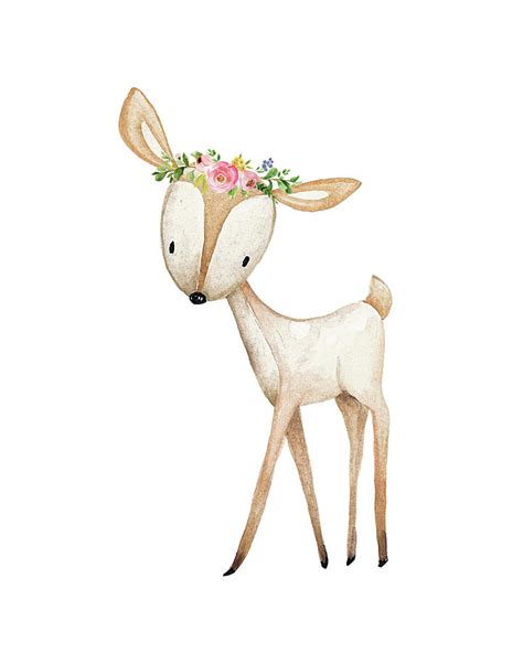 Boho Woodland Baby Nursery Deer Floral Watercolor Digital Art By Pink