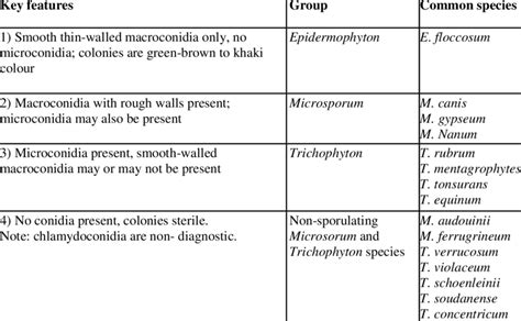 Dermatophyte Identification