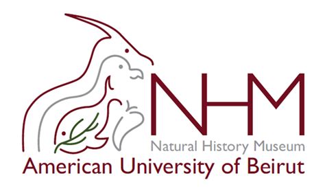 Rebranding The Aub Natural History Museum On Behance Natural History