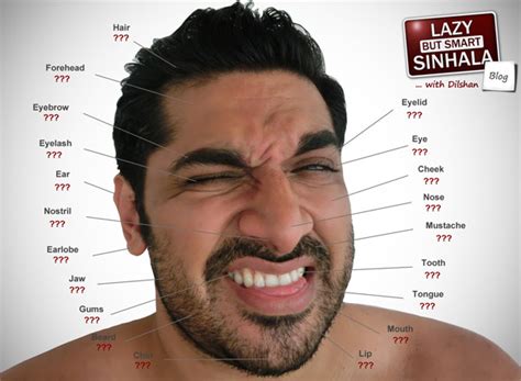 The sinhala font works only with windows vista or windows 7. Parts Of The Face In Sinhala | Learn Sinhala | Lazy But Smart Sinhala