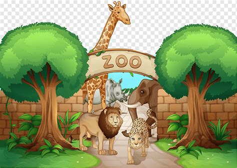 Ilustração De Zoológico Ilustração De Leopardo Girafa Leão Material