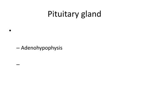 Ppt Pituitary Gland Powerpoint Presentation Free Download Id1930758