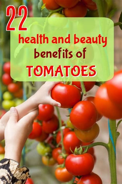 22 Beauty And Health Benefits Of Tomatoes You Must Know Health
