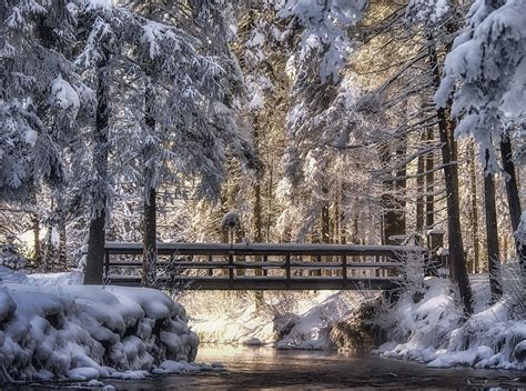 Photography Landscape Nature Winter Bridge River Snow Sunlight