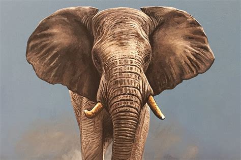 Elephant Wildlife Take Home The Spirit Of Africa Fine Art Portfolio