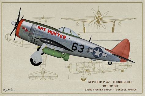Tuskegee P 47d Profile Art By Tommy Anderson In 2021 Tuskegee