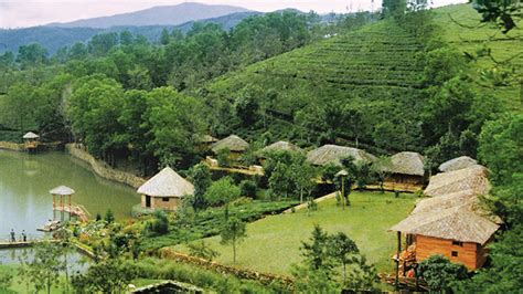 Top 8 Hill Stations In Kerala Iris Holidays