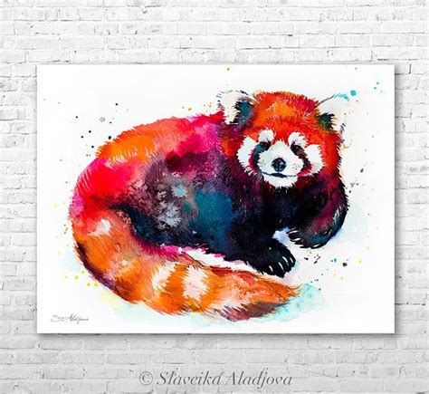 Red Panda Watercolor By Slaveika Aladjova Bear Watercolor Watercolor