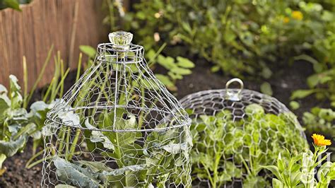 These Wire Plant Cloches Add Dainty Charm To Any Flower Bed Chicken