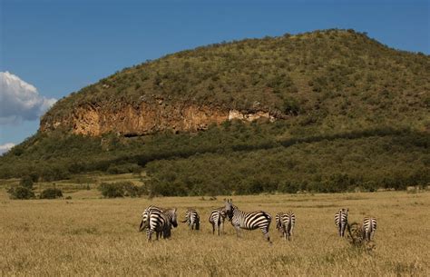 Lake naivasha is a freshwater lake in kenya, outside the town of naivasha in nakuru county which lies north west of nairobi, it is also part of the great rift valley. Hells Gate & Lake Naivasha Day Trip - US$155 - Gracepatt ...