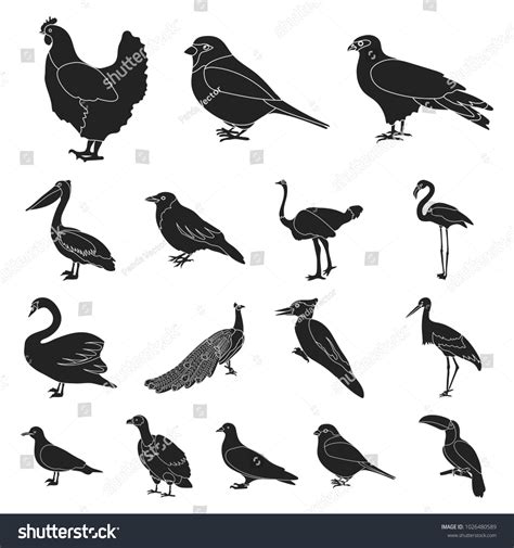 Types Birds Black Icons Set Collection Stock Illustration 1026480589