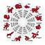 Differences Between The Chinese And Western Zodiac  Nexus Newsfeed