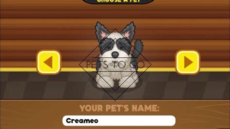 Keep the customers happy to earn big cash tips! Papa's Pancakeria to go Sneak peek: Pets - YouTube