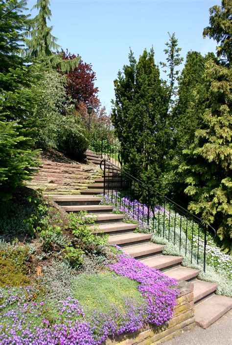 How about terracing and then planting in the terraces? Shrubs And Bushes That are Ideal for Landscaping (With ...