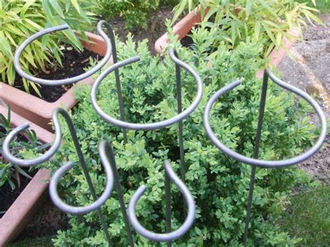 Metal garden rose arches to transform your garden & support your plants. Metal "Loop-Style" Garden Plant Supports | Растения, Клумбы