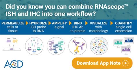 Advanced Cell Diagnostics On Linkedin Free App Note Combining The