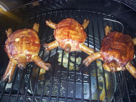 Share the best gifs now >>>. Schildkröten zugelaufen | Grillforum und BBQ - www ...