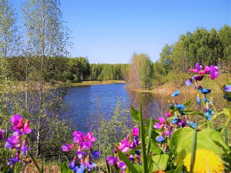 Природа Рязанского края (Большая коллекция фотографий) - treepics.ru