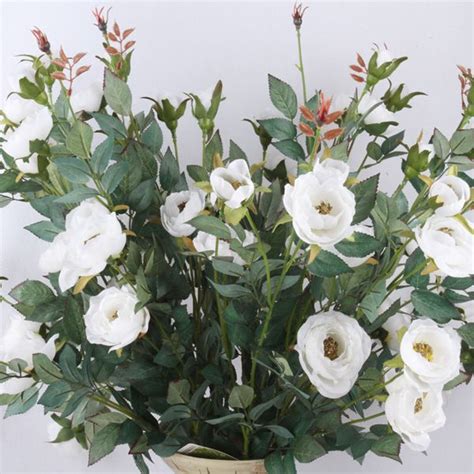 Jun 17, 2019 · cbd oil extract should be extracted from the leaves, stalks, and flowers of hemp. Silk Flower White Open Rose Artificial 6 Flowers per Bush ...