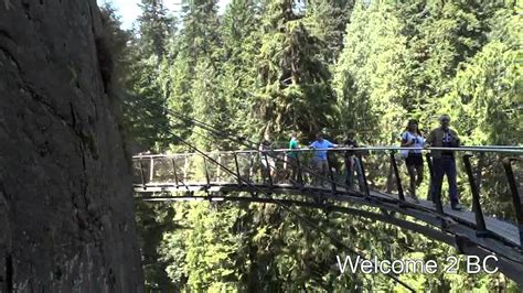 Capilano Suspension Bridge Tree Top Adventure And The Cliff Walk
