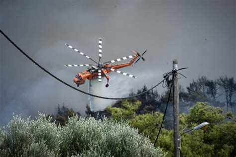 Maybe you would like to learn more about one of these? Φωτιά Ηλεία: Εικόνες από τις αγωνιώδεις προσπάθειες κατάσβεσης