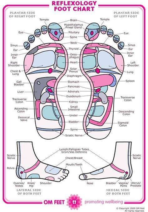 Find printable anatomy here and you can print out. Free Foot Reflexology Chart