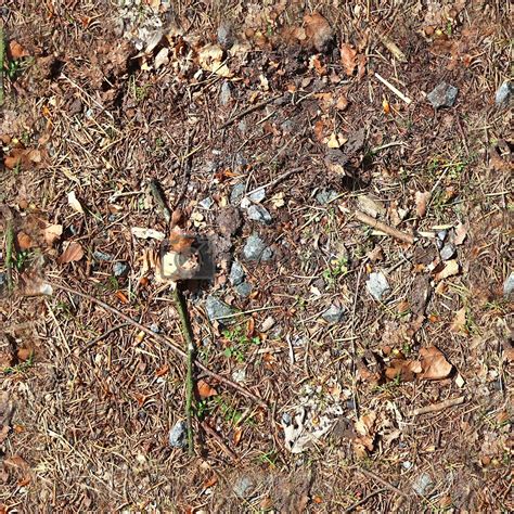 High Resolution Seamless Texture Of A Forest Ground With Autumn By Mp