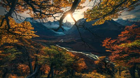 Wallpaper Forest Tree Mountains Autumn Hd Nature 15808